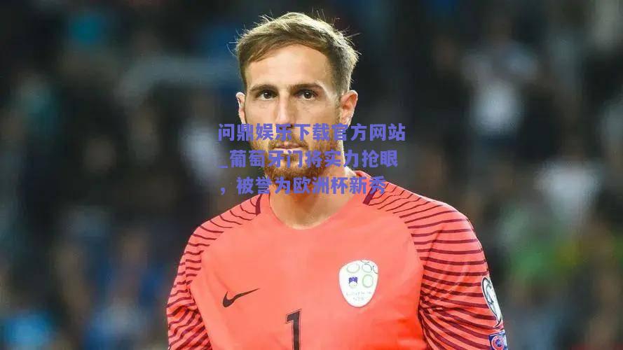 葡萄牙门将实力抢眼，被誉为欧洲杯新秀